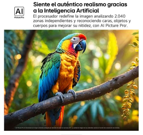 Lg 43QNED87A6D - Televisor de 43 pulgadas QNED evo Smart TV 4K - Imagen 6